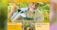 Desktop Screenshot of gaertnerei-hochstein.de